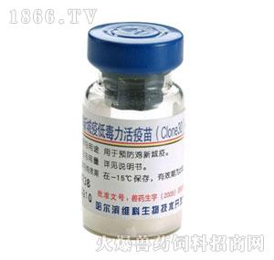 鸡新城疫活疫苗（Clone30株）